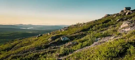 Arvidsjaur : yksityisen suihkukoneen vuokraus