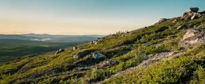 Kiiruna : yksityisen suihkukoneen vuokraus