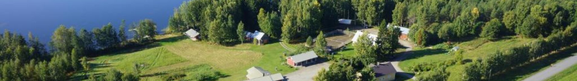 Kitee : yksityisen suihkukoneen vuokraus 