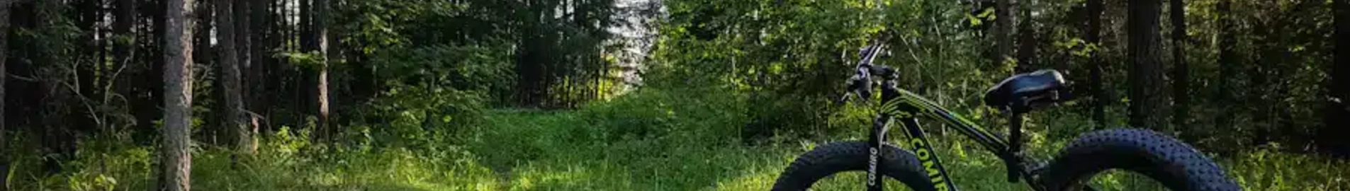 Kurgan : yksityisen suihkukoneen vuokraus