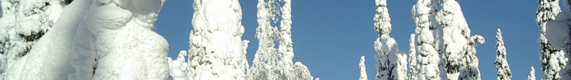 Kuusamo : yksityinen suihkukoneen vuokraus 