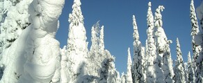 Kuusamo : yksityinen suihkukoneen vuokraus 