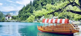 Ljubljana : yksityisen suihkukoneen vuokraus 