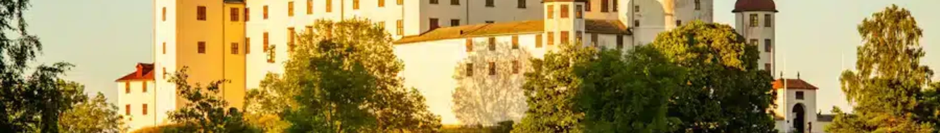 Lidkoping : yksityisen suihkukoneen vuokraus