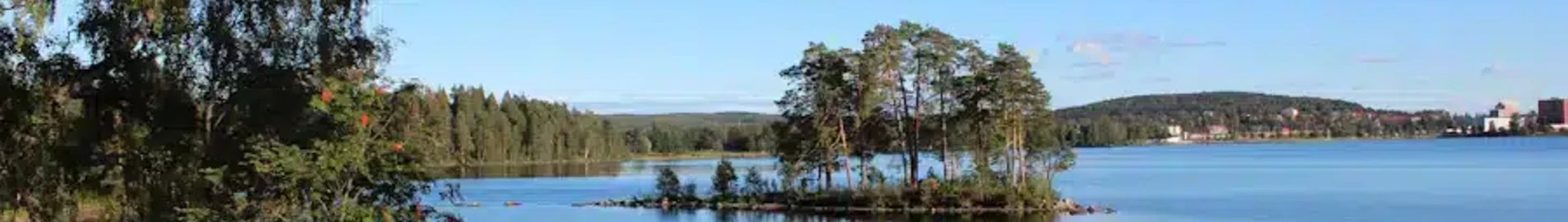 Ludvika: yksityisen suihkukoneen vuokraus