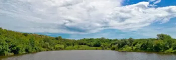 Negage : location de jet privé