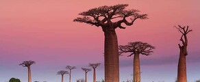 Madagaskar: Yksityisjetin vuokraus