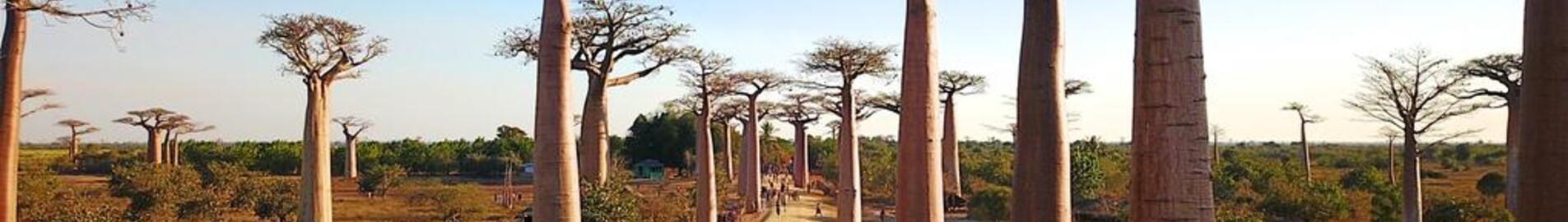 Morondava : yksityisen suihkukoneen vuokraus