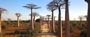 Morondava : yksityisen suihkukoneen vuokraus