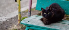 Murmansk : yksityisen suihkukoneen vuokraus