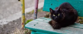 Nizhnekamsk Begishevo : yksityisen suihkukoneen vuokraus