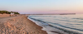 Palanga : yksityisen suihkukoneen vuokraus 