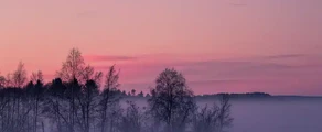 Pitea : yksityisen suihkukoneen vuokraus
