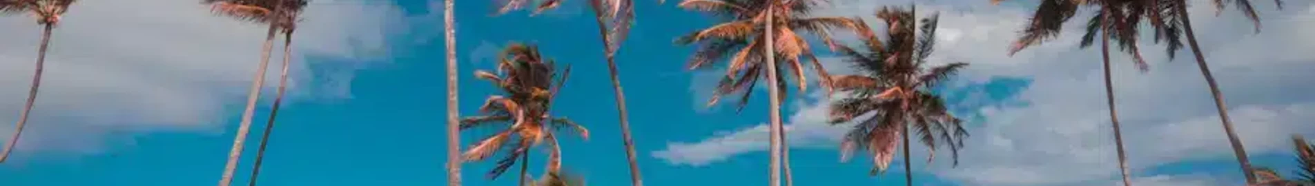 Punta Cana: yksityinen suihkukone vuokraus