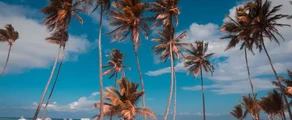 Punta Cana: yksityinen suihkukone vuokraus