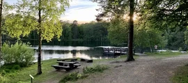 Ljungby Feringe : yksityisen suihkukoneen vuokraus