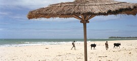 Madagaskar: Yksityisjetin vuokraus