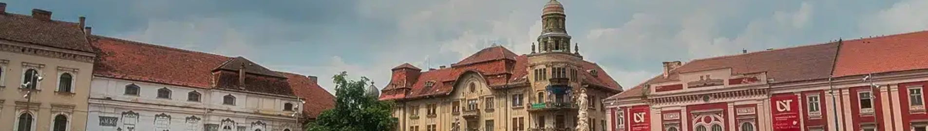 Satu Mare: yksityisen suihkukoneen vuokraus