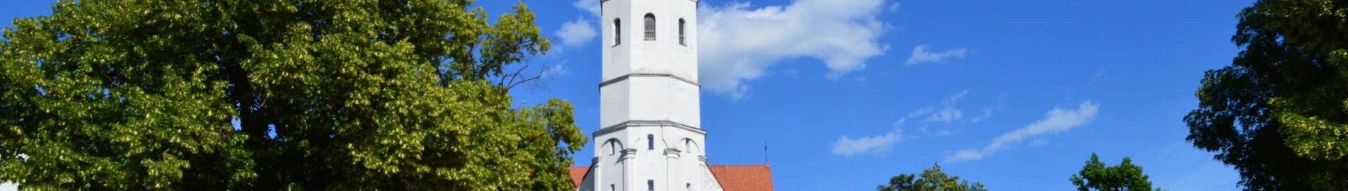 Siauliai : yksityisen suihkukoneen vuokraus 