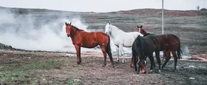 Stavropol Shpakovskoye : yksityisen suihkukoneen vuokraus
