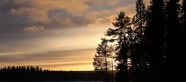 Ornskoldsvik : yksityisen suihkukoneen vuokraus