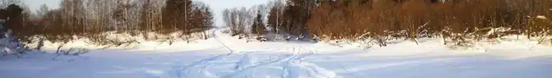 Syktyvkar : yksityisen suihkukoneen vuokraus