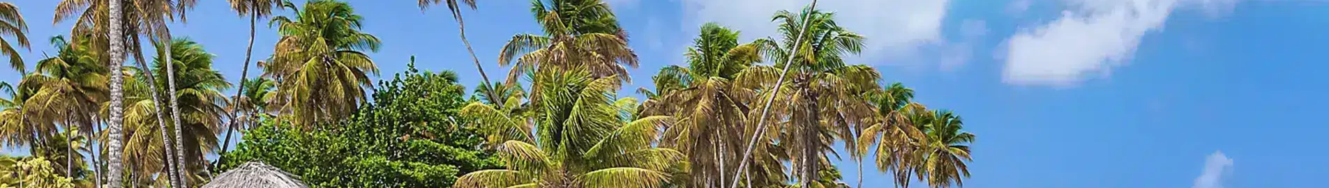 Tobago Scarborough Crown Point : yksityinen suihkukone vuokraus 
