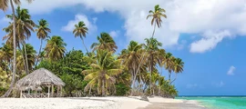Trinidad & Tobago : Yksityisen suihkukoneen vuokraus