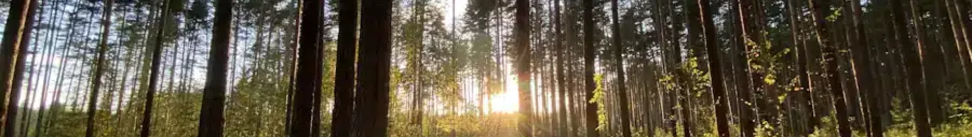 Tver Migalovo: yksityinen suihkukoneen vuokraus
