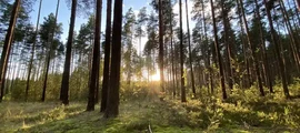 Kursk Vostochny : yksityinen suihkukone vuokraus