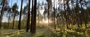 Tver Migalovo: yksityinen suihkukoneen vuokraus