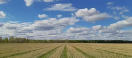 Astrakhan Narimanovo : yksityinen suihkukone vuokraus