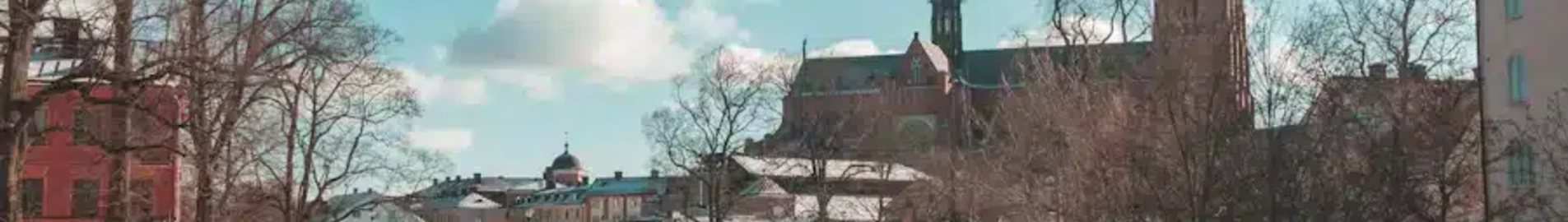 Uppsala : yksityisen suihkukoneen vuokraus