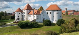 Pula : yksityisen suihkukoneen vuokraus 