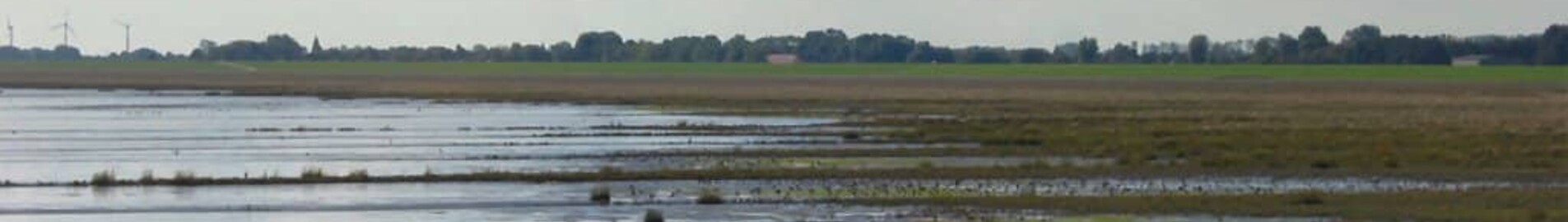 Wilhelmshaven Mariensiel : yksityisen suihkukoneen vuokraus 