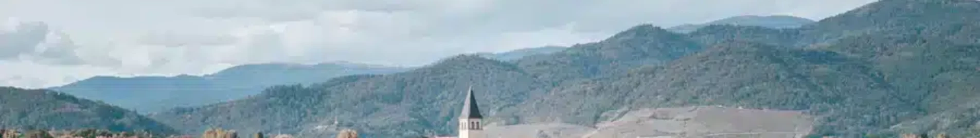 Leikkaus