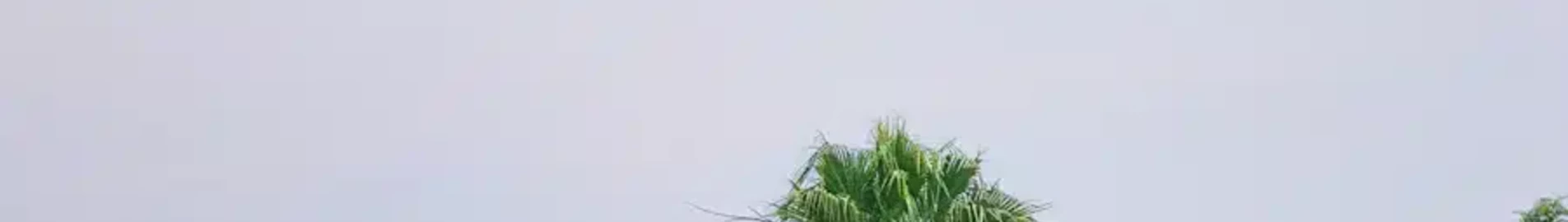 Bukavu Kavumu : yksityisen suihkukoneen vuokraus