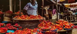 Nigeria: yksityisjetin vuokraus 