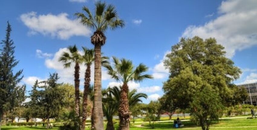 Tunis Carthage: yksityisen suihkukoneen vuokraus