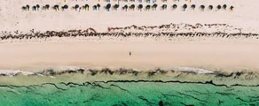 Djerba Zarzis : yksityisen suihkukoneen vuokraus