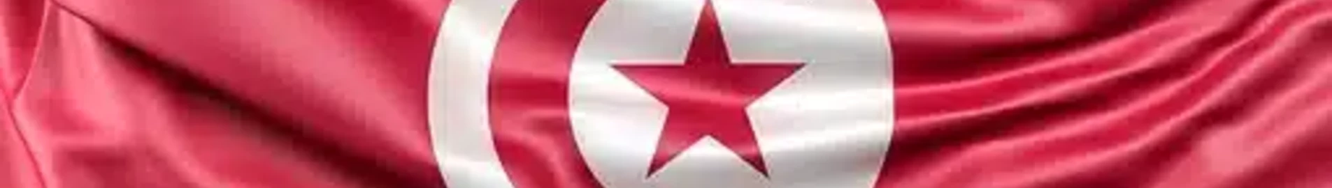 Paluumuutto Tunisiaan: menettelyt, hinnat ja räätälöidyt ratkaisut
