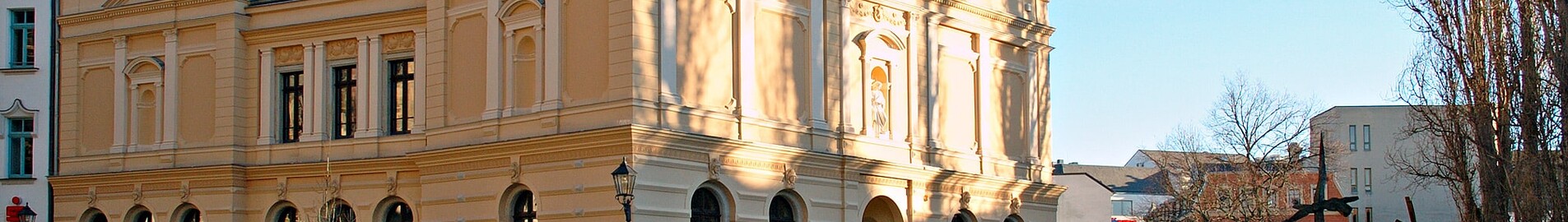 Yksityinen suihkukoneen vuokraus Reinsdorf 