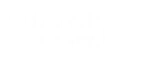 Fokker 50 yksityisen suihkukoneen vuokraus 