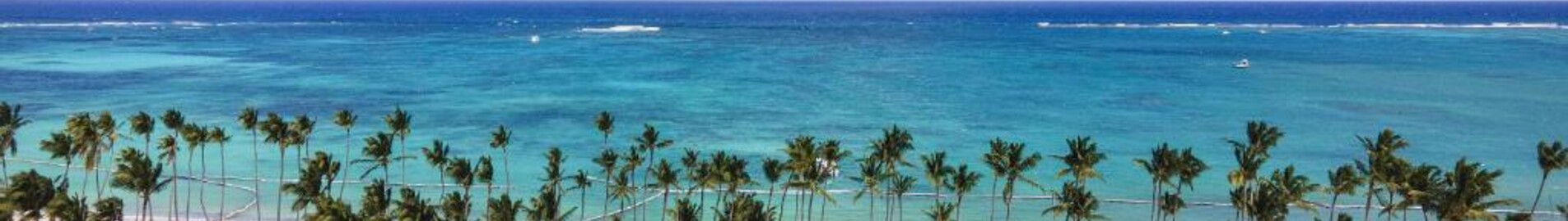 Palm Beach : yksityisen suihkukoneen vuokraus