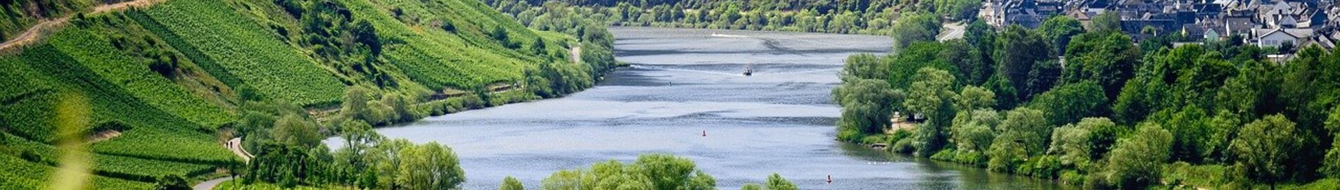Euroopan viinitarhoja vierailla yksityissuihkukoneella