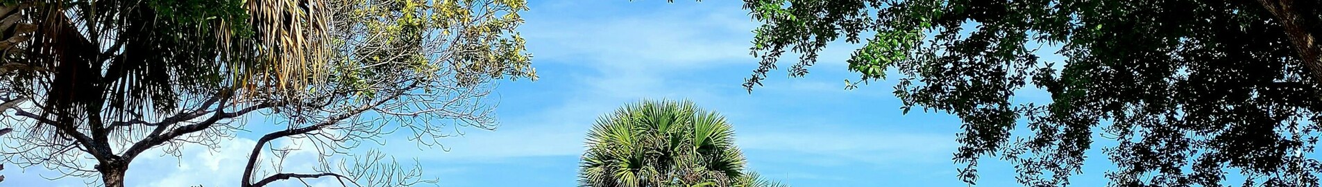 Los Angeles - Tampa : yksityisen suihkukoneen vuokraus