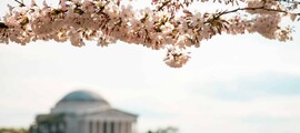 Las Vegas - Lontoo: yksityisen suihkukoneen vuokraus