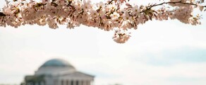 Las Vegas - Washington DC : yksityisen suihkukoneen vuokraus