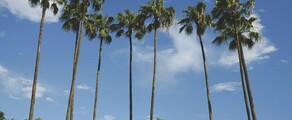 Los Angeles - Orlando : yksityisen suihkukoneen vuokraus
