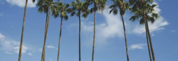 Los angeles orlando location de jet privé